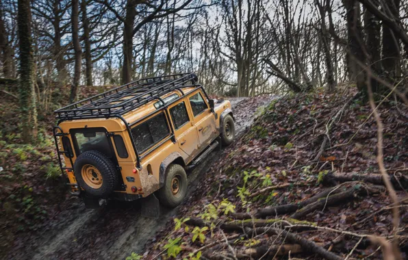 Внедорожник, Land Rover, скользко, подъём, Defender, V8, 5.0 л., 2021