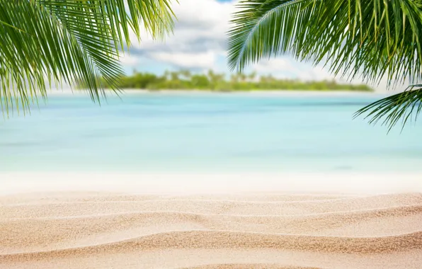 Картинка песок, море, пляж, природа, океан, summer, beach, sea