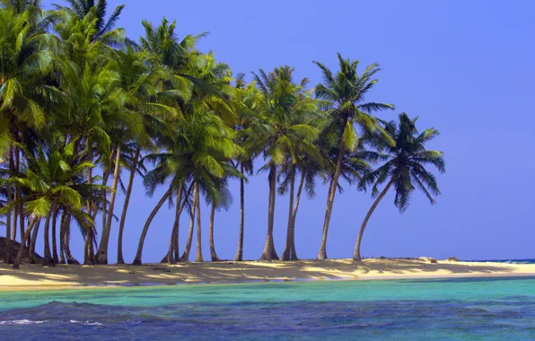 Картинка песок, море, пляж, природа, тропики, пальмы, океан