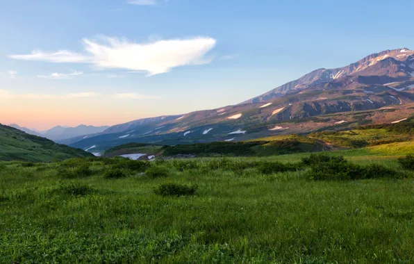 Картинка поле, трава, горы, Россия, Камчатка, Kamchatka