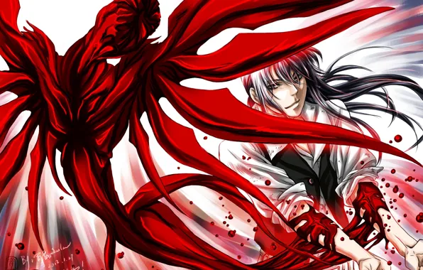 Монстр, аниме, арт, парень, D.Gray-man