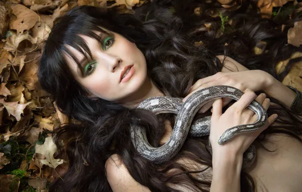 Взгляд, листья, девушка, лицо, волосы, змея, макияж, Melanie Kazmercyk