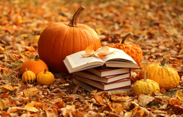 Картинка осень, листья, книги, урожай, тыква, yellow, autumn, leaves