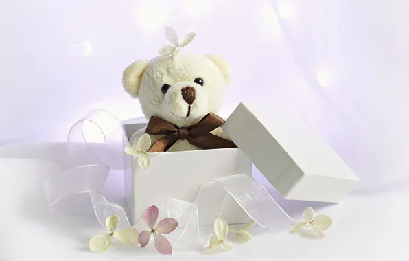 Картинка фон, коробка, подарок, игрушка, лента, медвежонок, цветки, плюшевый мишка