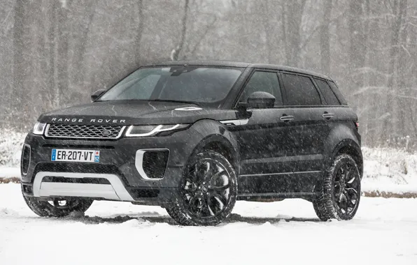 Зима, снег, Range Rover, Evoque, Autobiography, Si4