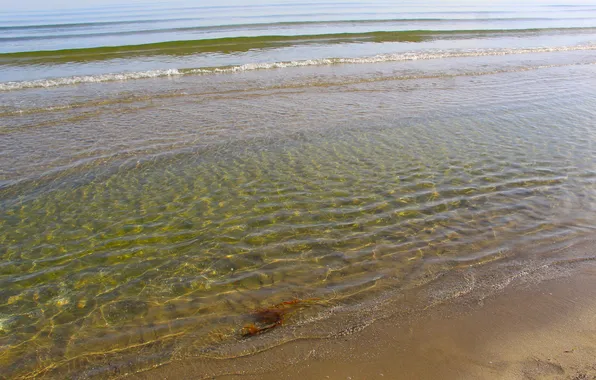Beach, sea, water, wave