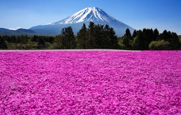 Картинка природа, гора, вулкан, Япония, Japan, Фуджи