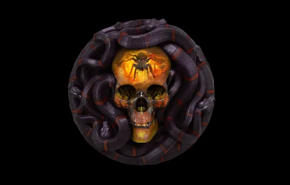 Картинка череп, змея, Grigory Lebidko, 12 Sins: Envy
