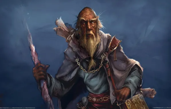 GameWallpapers, Диабло, Blizzard Entertainment, Deckard Cain, Декард Каин, Diablo3, последний из Хорадрима