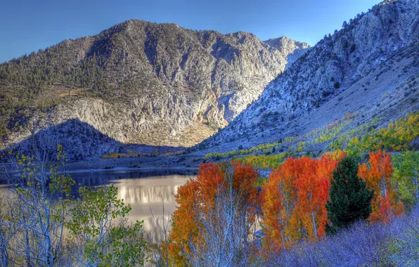 Осень, небо, деревья, горы, озеро, Калифорния, США, Eastern Sierra