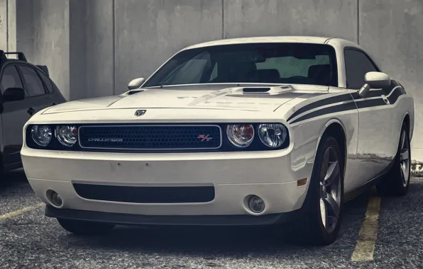 Автомобиль, Dodge Challenger, muscle car