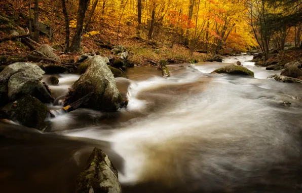 Картинка осень, лес, река, камни, Kent, Macedonia Brook State Park, Connecticut