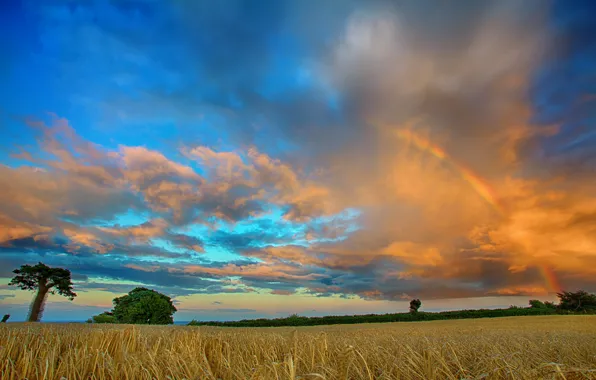Картинка поле, облака, деревья, радуга