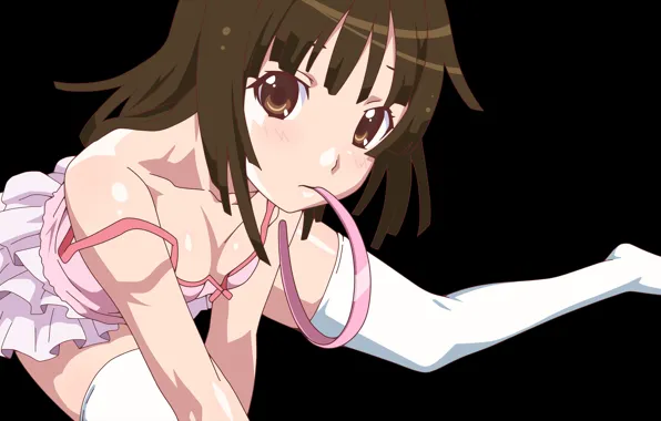 Anime, Bakemonogatari, Sengoku Nadeko, Nya, Аниме. Няшка, Nyahska, Истории монстров, Monogatari