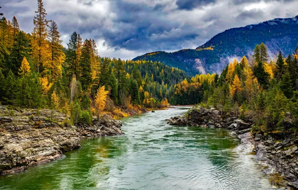 Осень, лес, солнце, облака, деревья, горы, камни, Монтана