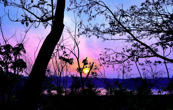 Sun, Water, Sunrise, Dawn, Morning, Lake, Trees, Reflection