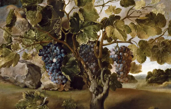 Ягоды, картина, гроздь, Томас Хепес, Пейзаж с Виноградной Лозой