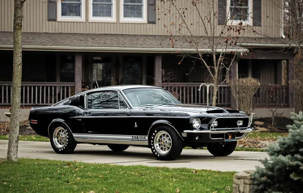 Mustang, Ford, Shelby, GT500, мустанг, форд, шелби, 1968