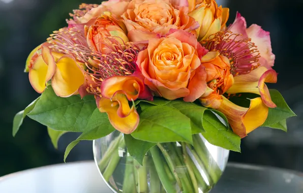 Розы, букет, ваза, Roses, Bouquets, Callas