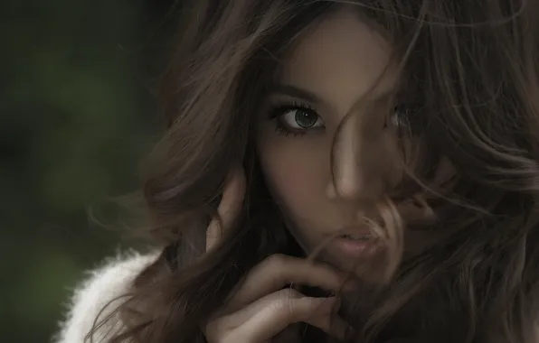Взгляд, девушка, лицо, волосы, азиатка