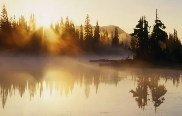 Картинка river, trees, morning, fog, sunrise