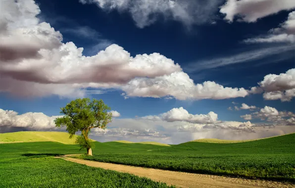 Картинка дорога, небо, облака, природа, дерево, поля, весна