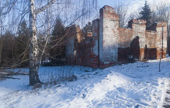 Картинка зима, небо, облака, снег, деревья, развалины, руины, Россия