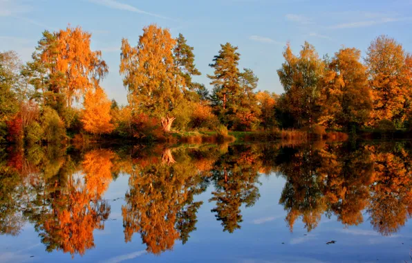 Картинка осень, природа, Германия, Germany, деревья., Laupheim