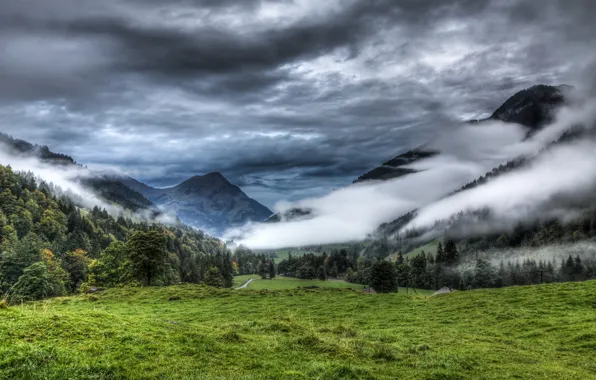Лес, облака, горы, природа, туман, луг