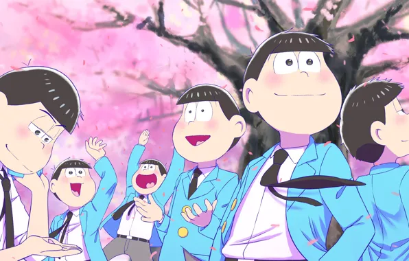 Сакура, цветение, Matsuno Choromatsu, Osomatsu Matsuno, Karamatsu Matsuno, Matsuno Todomatsu, Ichimatsu Matsuno, Osomatsu-kun
