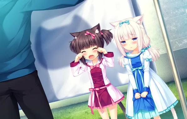 Парень, Девочки, Плач, Nekopara