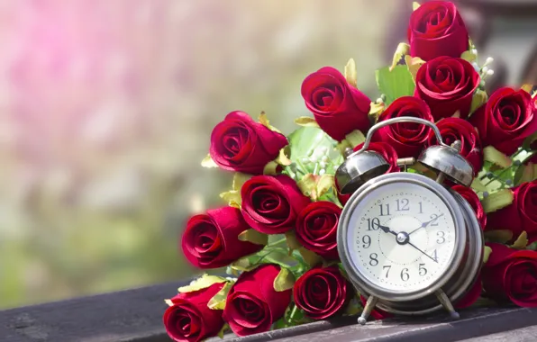 Розы, букет, будильник, бутоны, bouquet, roses, buds, alarm clock