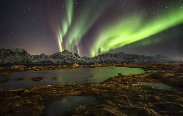 Картинка небо, звезды, горы, ночь, северное сияние, Норвегия