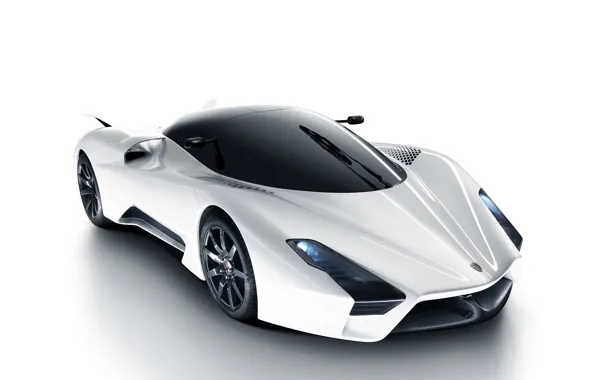 2012, SSC, Tuatara