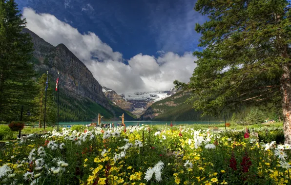Картинка деревья, цветы, горы, природа, озеро, Канада, Banff National Park, Lake Louise