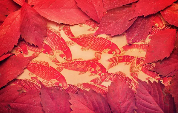 Картинка листья, рыбы, фон, цвет