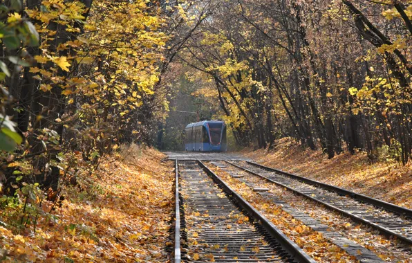 Осень, трамвай, листопад