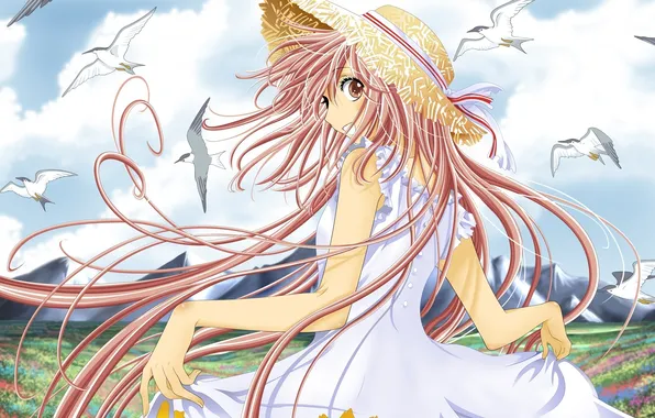 Картинка девушка, чайки, шляпка, длинные волосы, clamp, hanato kobato