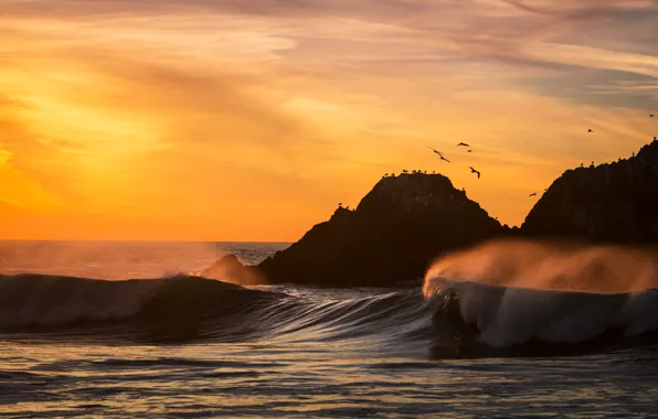 Картинка волны, пляж, птицы, океан, california, sunset, San Francisco