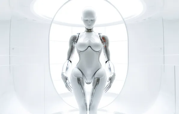 Robot, female figure, sexualized