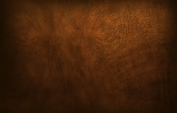 Brown, muddy, gutsy, Elephant skin, rough, dusty