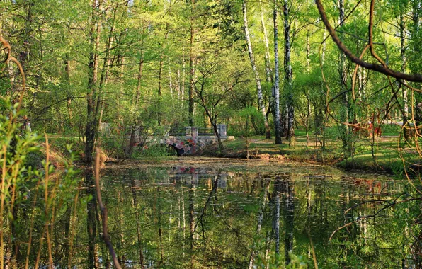 Картинка лес, вода, деревья, пейзаж, мост, пруд, парк, отражение