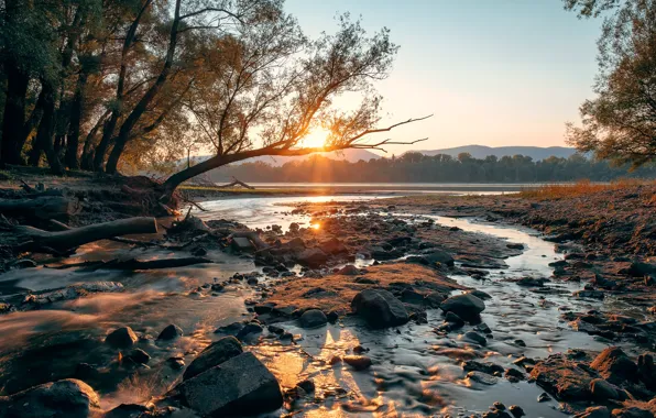 Картинка природа, река, утро