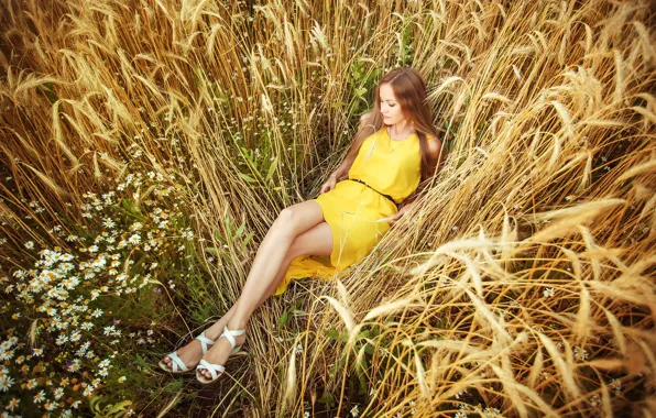 Пшеница, поле, девушка, ромашки, платье, колосья, в жёлтом