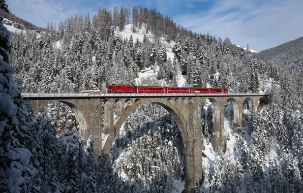 Картинка зима, лес, снег, поезд, Швейцария, forest, Switzerland, winter