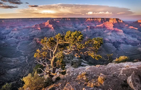 Картинка Landscape, Arizona, Grand Canyon, National Park
