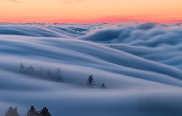 Картинка небо, туман, утро, Калифорния
