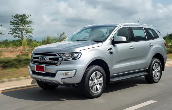 Картинка Ford, Everest, на дороге, 2015, серо-серебристый