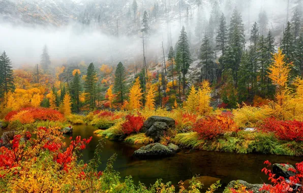 Картинка осень, лес, снег, деревья, природа, река, краски, склон