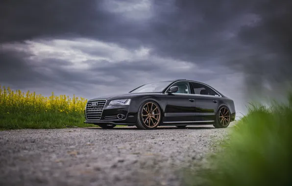 Картинка Audi, Clouds, Grass, Black, Sedan, VAG, Luxure, V8TT